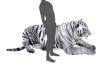 ☢ Ani Tiger White