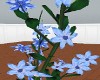 blue flower vine