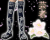 Princess Doragon Boots