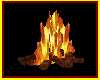 ® FIRE WITH WOODS DERV