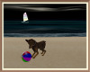 Flip Flops Beach Dog 