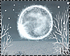 Bundle Winter Ice Moon