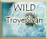 WILD | Troye Sivan