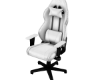 AgaWhite Chair