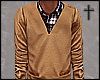 Sweater + Plaid