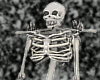 [Halloween] Skeleton