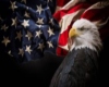 American Eagle Round Rug