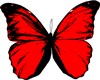 !S! Butterfly Red