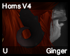Ginger Horns V4