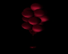 Red Balloons !!!!
