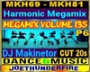 Makinetor135 P6