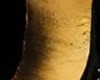 gold luxury
