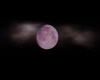 Pink Full Moon Surround