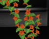 Animated Fire Flowers
