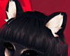 KOBE Cutest Shiba Ears