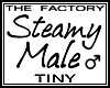 TF Steamy Male Avi Tiny