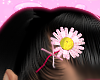 daisy hair clip
