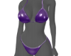 017 Bikini L Purple