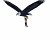Sky Eagle