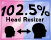 BF- Head Scaler 102.5%