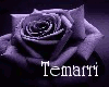 {tem}hotnsexy black