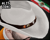 [AZ] TAMAULIPAS Sombrero