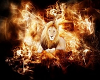 Fire Lion Pic