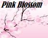 Pink blossom room 