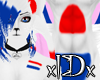 xIDx Dutch Furry M