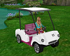 golf cart for avi female