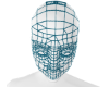 Dev Face Mask