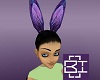 {Bits}Purple Bunny Ears