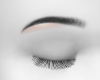 Brow + HLight2 | black