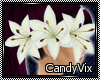 [CV] White Lilies3 Right