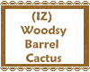 (IZ) Woodsy BarrelCactus