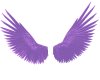 Plum fantasy wings