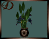 (Di) Exotica Plant1