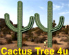 Cactus Tree Desert Plant