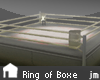 jm| Ring of Boxe