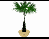 Palm tree mesh