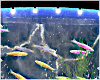 M| SkyD Aquarium Pt2