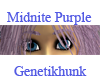 Midnite Purple Female