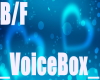 Music VoiceBox BF