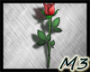 M3 Red Rose-v1