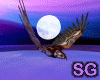 Flying Fantasy Hawk