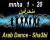 Arab Sha3bi Dance