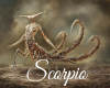 (A)Scorpio pic