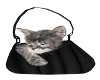 Linns Purse & Kitten