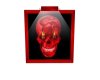 EG Red Skull Picture