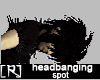 Headbanging ~ 1 Spot